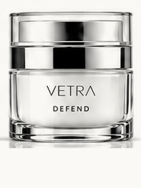 DEFEND concept container